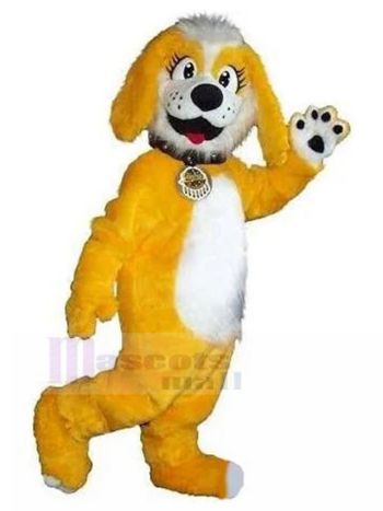 Hund maskottchen kostüm