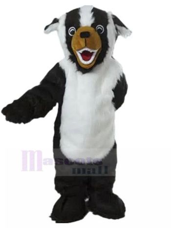 Hund maskottchen kostüm