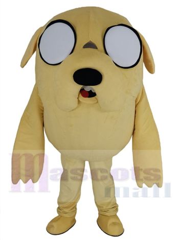 Jake der Hund maskottchen kostüm