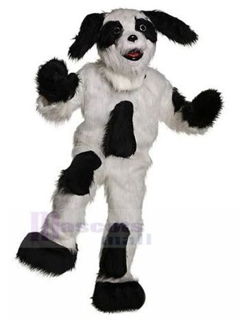 Hund maskottchen kostüm