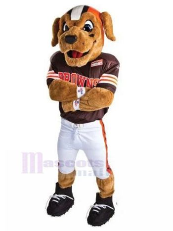 Hund maskottchen kostüm