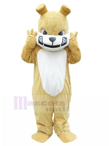 Hund maskottchen kostüm