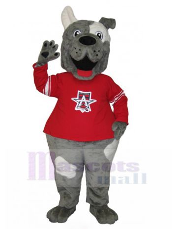 Hund maskottchen kostüm