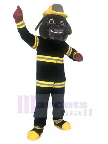 Hund maskottchen kostüm