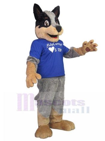 Hund maskottchen kostüm