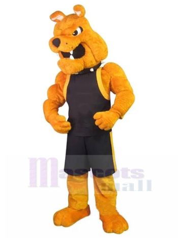 Hund maskottchen kostüm