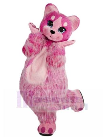Katze maskottchen kostüm