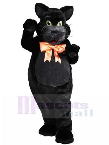 katze maskottchen kostüm