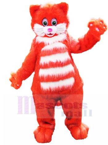 katze maskottchen kostüm