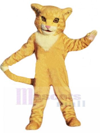 katze maskottchen kostüm