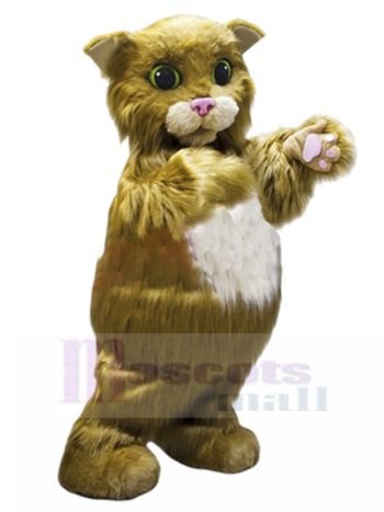 katze maskottchen kostüm