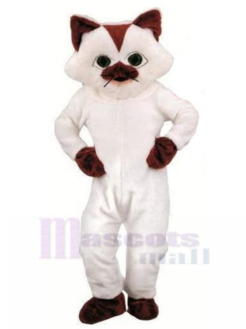 katze maskottchen kostüm