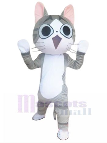 Katze maskottchen kostüm