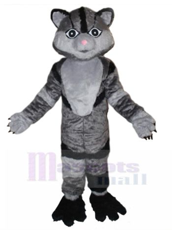 Katze maskottchen kostüm