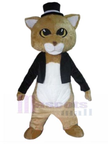 Katze maskottchen kostüm