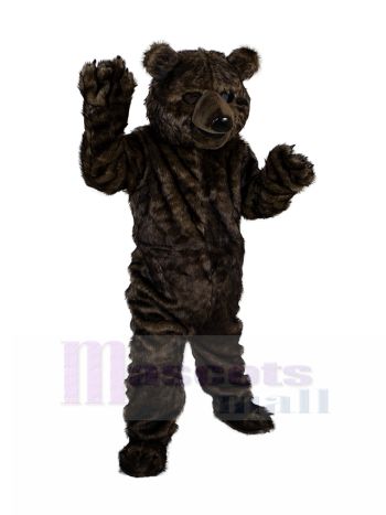 bär maskottchen kostüm