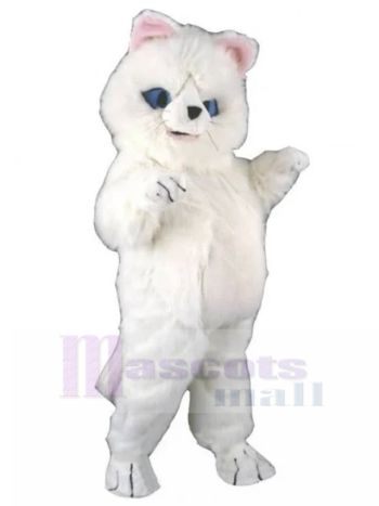 Katze maskottchen kostüm