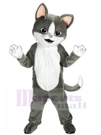 Katze maskottchen kostüm