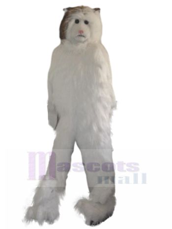 Katze maskottchen kostüm