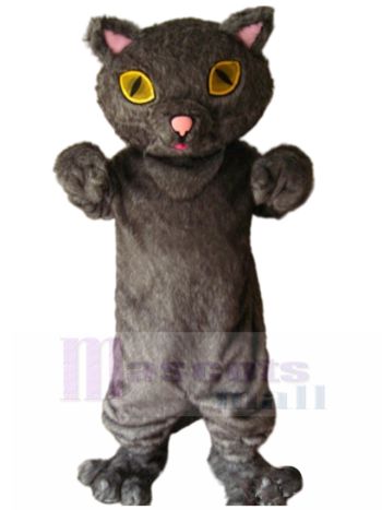 Katze maskottchen kostüm