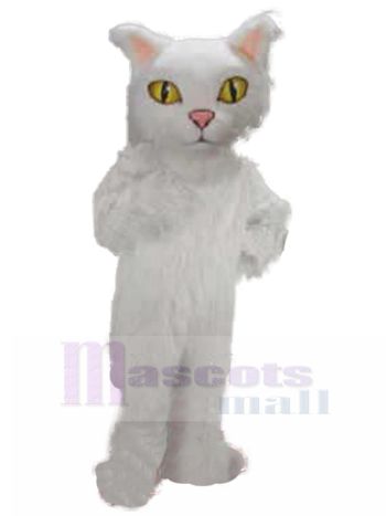Katze maskottchen kostüm
