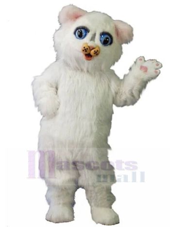 katze maskottchen kostüm