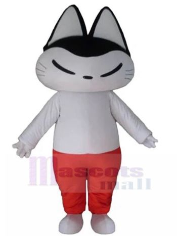 katze maskottchen kostüm