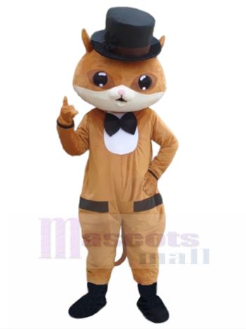 katze maskottchen kostüm