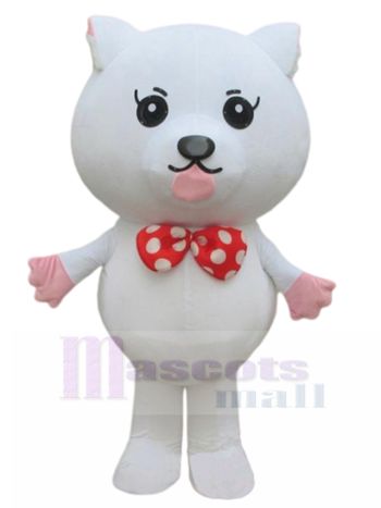 katze maskottchen kostüm