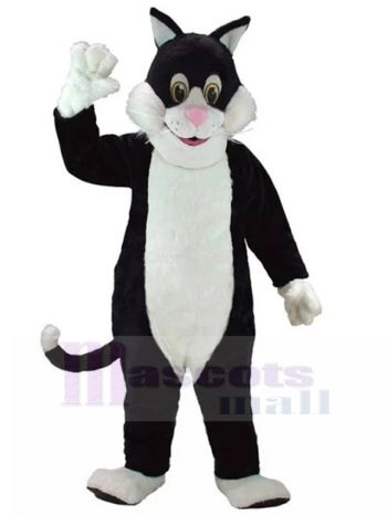 katze maskottchen kostüm