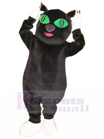katze maskottchen kostüm
