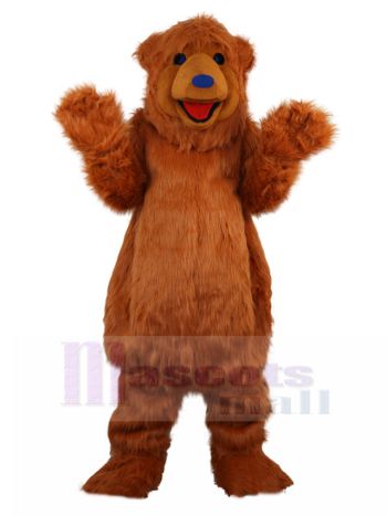 Bär maskottchen kostüm