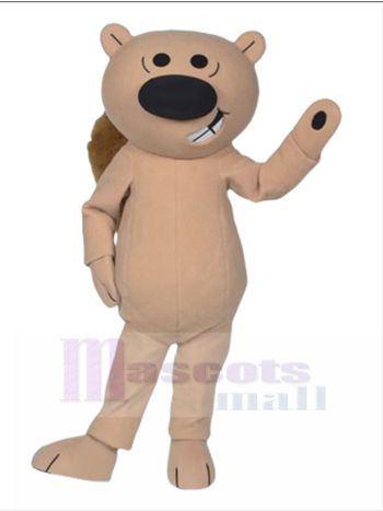 Eichhörnchen maskottchen kostüm