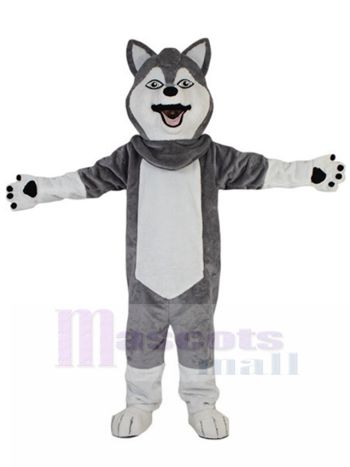 Hund maskottchen kostüm