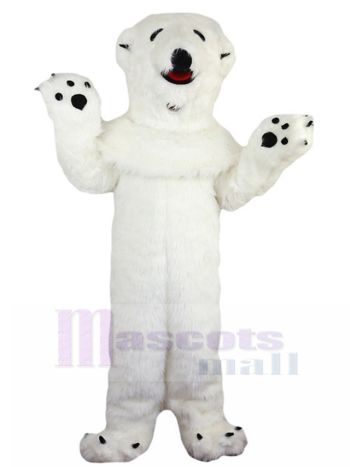 Eisbär maskottchen kostüm