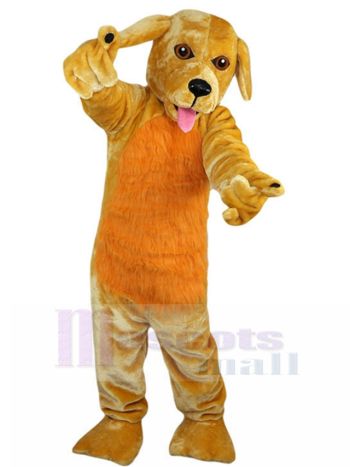 Hund maskottchen kostüm