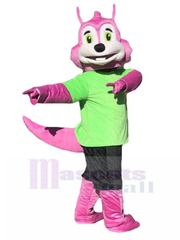 Eichhörnchen maskottchen kostüm