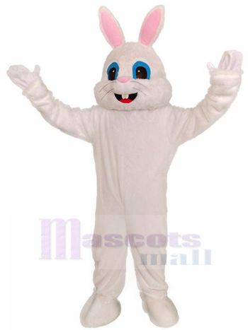 Kaninchen maskottchen kostüm