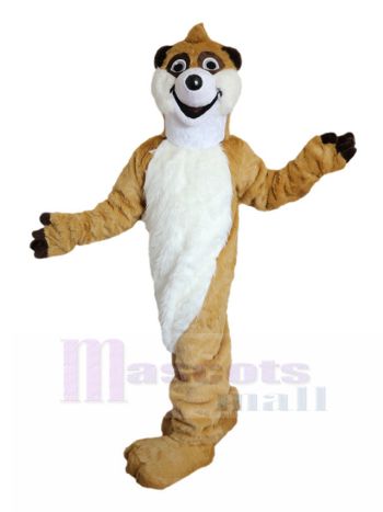 Waschbär maskottchen kostüm