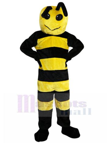 Biene maskottchen kostüm