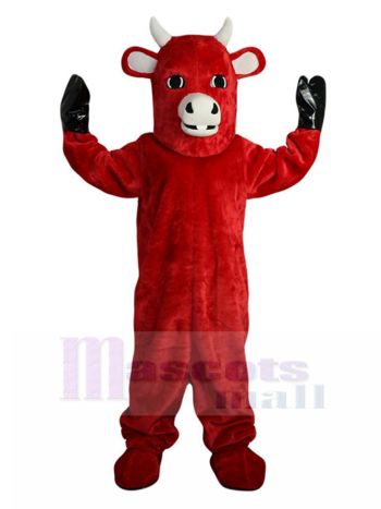 stier maskottchen kostüm