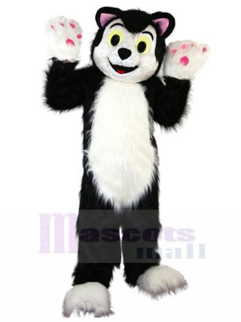 katze maskottchen kostüm