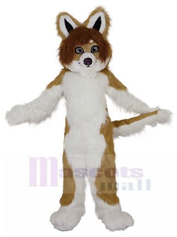 hund maskottchen kostüm