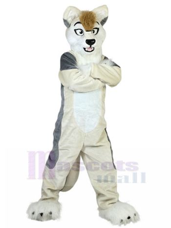hund maskottchen kostüm