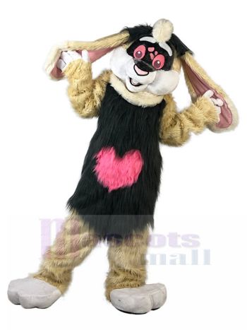 Kaninchen maskottchen kostüm