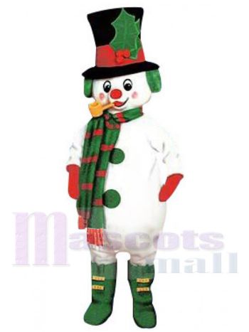 Elf maskottchen kostüm