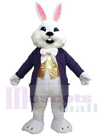 Osterhase maskottchen kostüm