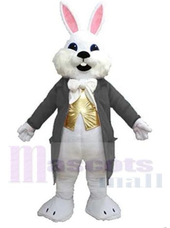 Osterhase maskottchen kostüm
