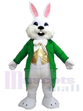 Osterhase maskottchen kostüm