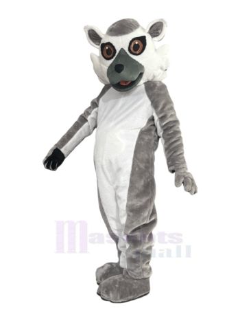Lieblicher Lemur Maskottchen Kostüm